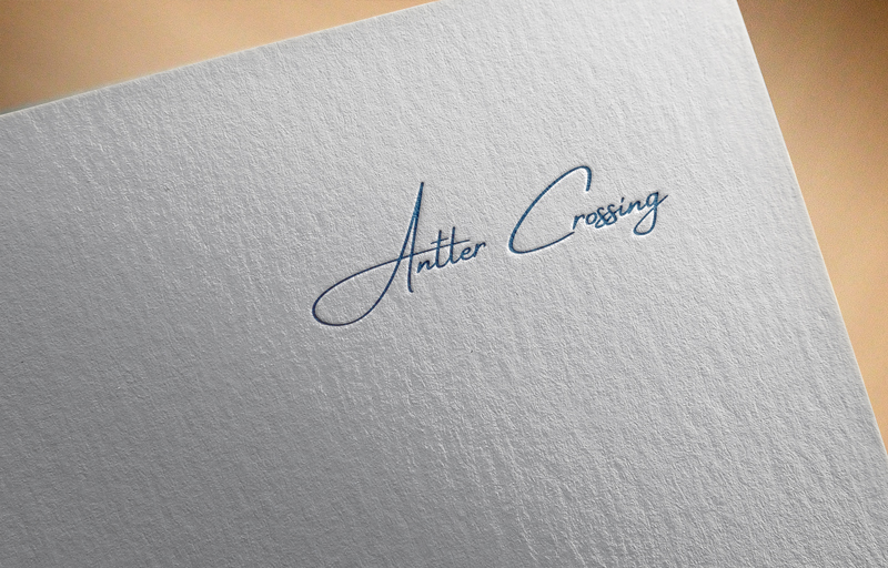 Logo Design by skyDesignbox for this project | Design #17890053