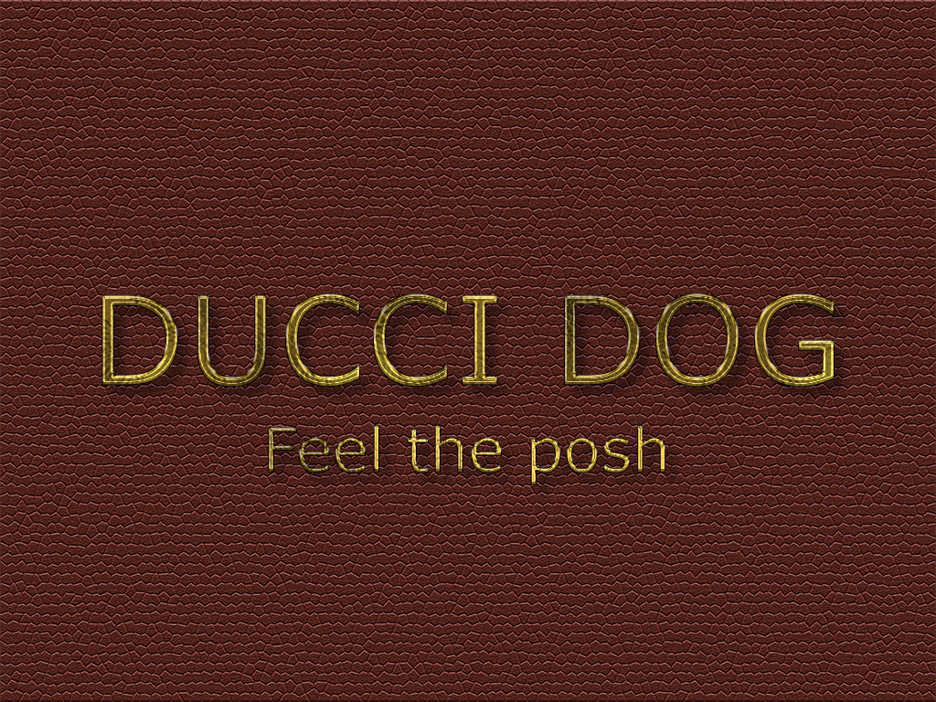 Logo-Design von Maria Andreea für dieses Projekt | Design #17874105