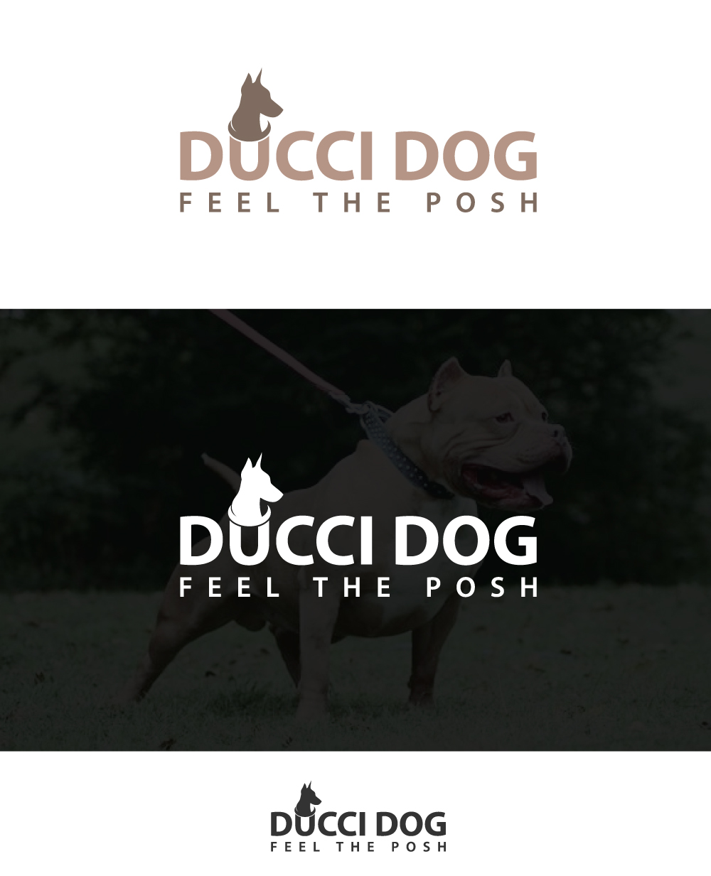 Diseño de Logo por johnnyblackman para este proyecto | Diseño #17881600