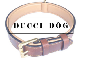 Diseño de Logo por Kimh para este proyecto | Diseño: #17888477