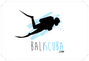 Logo Design by soukaina ali
