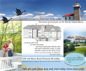 Poster Design by Grant Nicholson for this project | Design: #663350