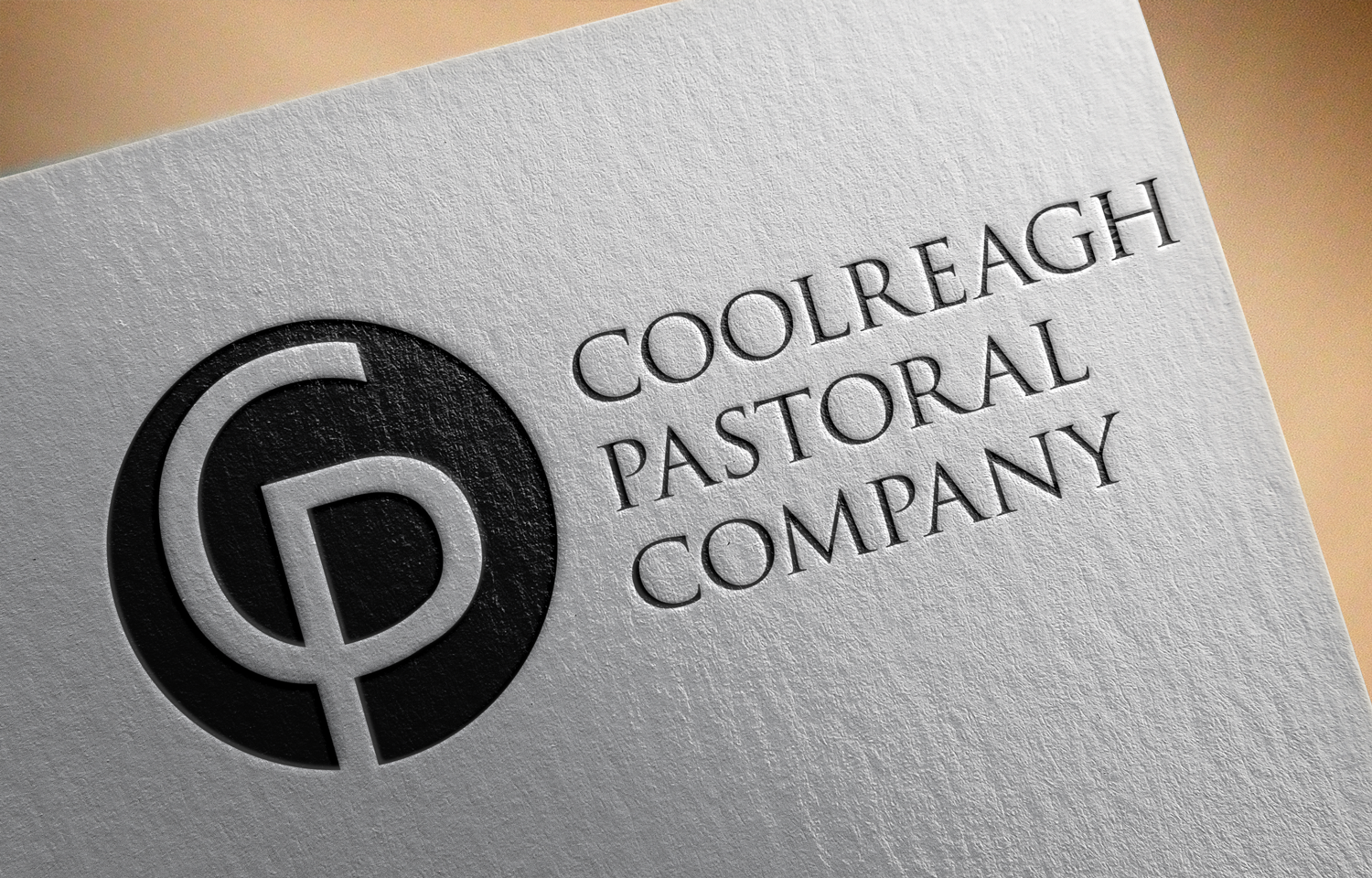 Design de Logo par H4R5Z pour Coolreagh Catering and Cleaning | Design #17855977
