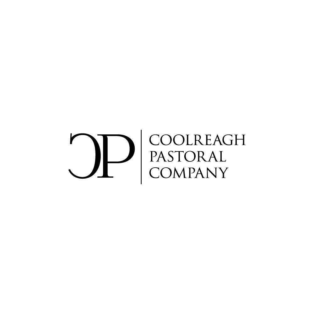 Design de Logo par H4R5Z pour Coolreagh Catering and Cleaning | Design #17856015