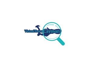 Design de Logo par Azus pour CoDe Websites | Design : #2814315