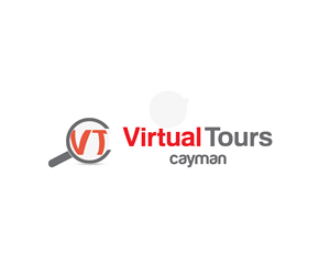 Design de Logo par Pv_999 pour CoDe Websites | Design : #2965690
