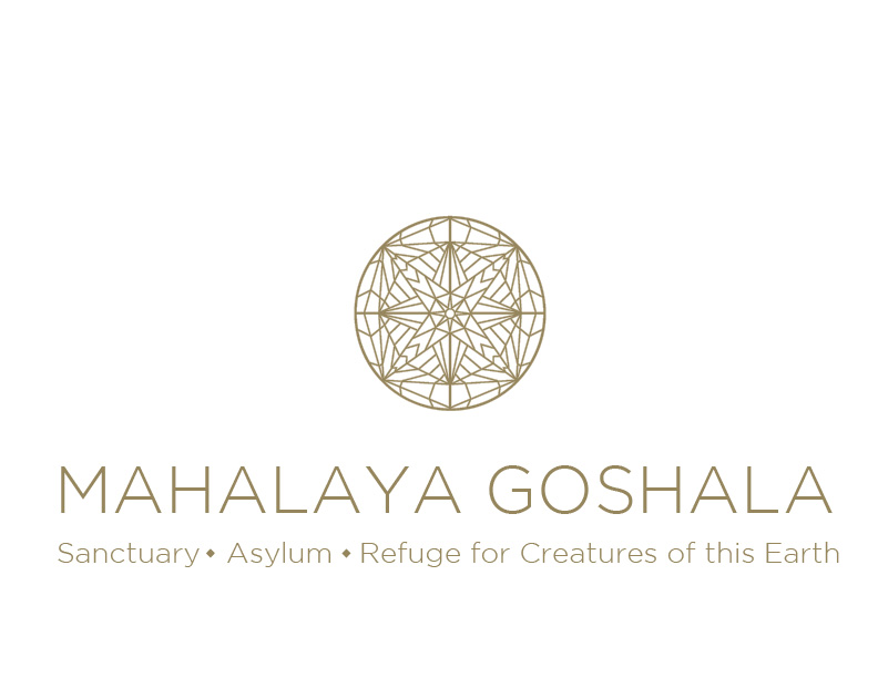 Logo Design by bc21 for this project | Design #17874194