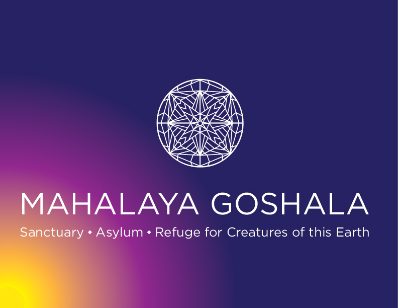 Logo Design by bc21 for this project | Design #17874198