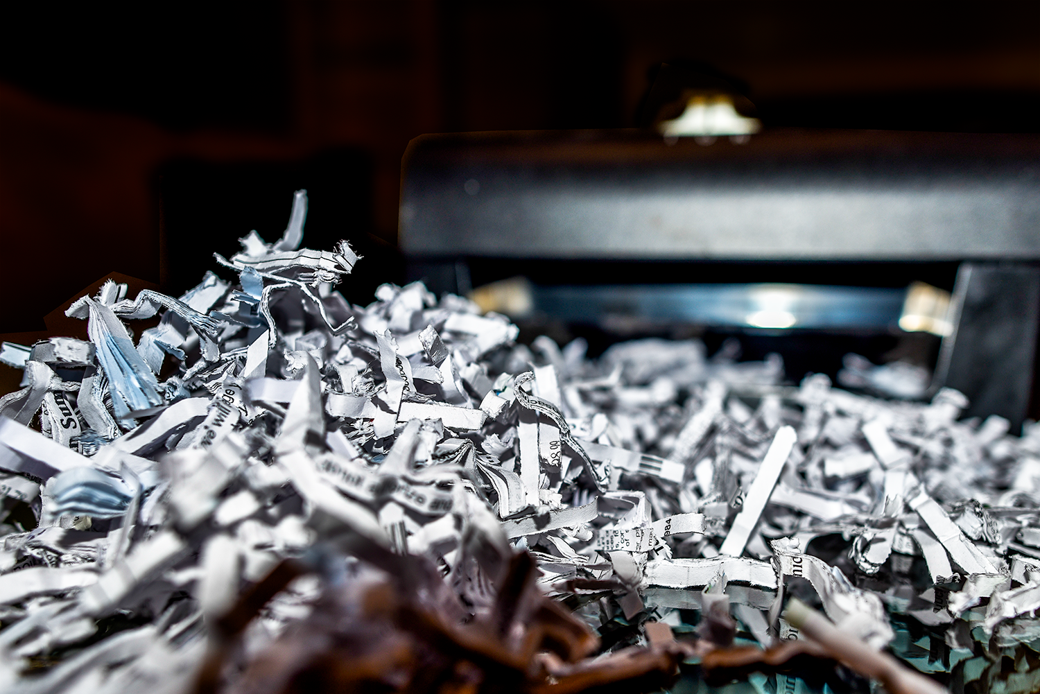 Photography by Manson Nellum for DesignCrowd (Community Contests) | Design #18018336