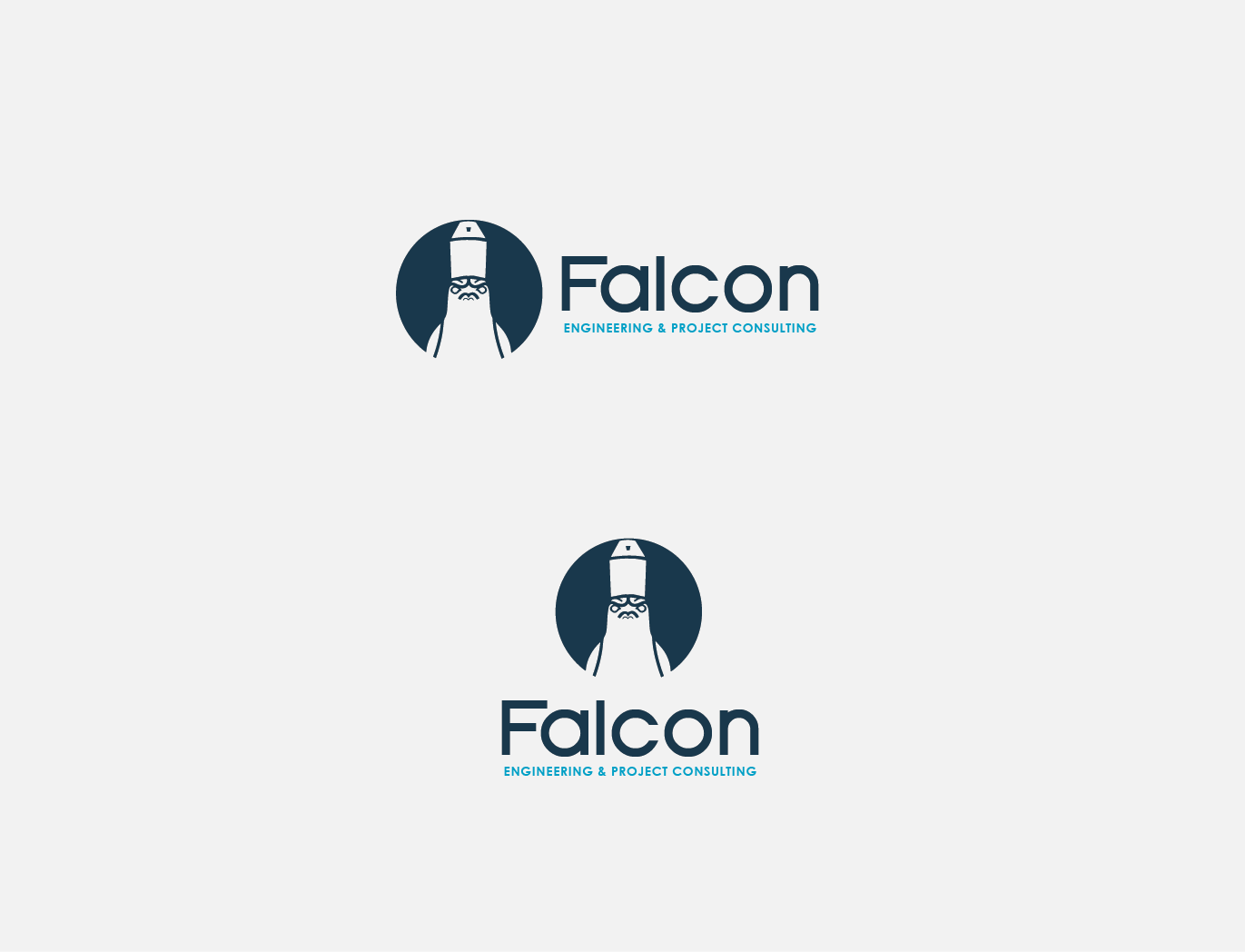 Logo Design by DanielV02 for this project | Design #17894656