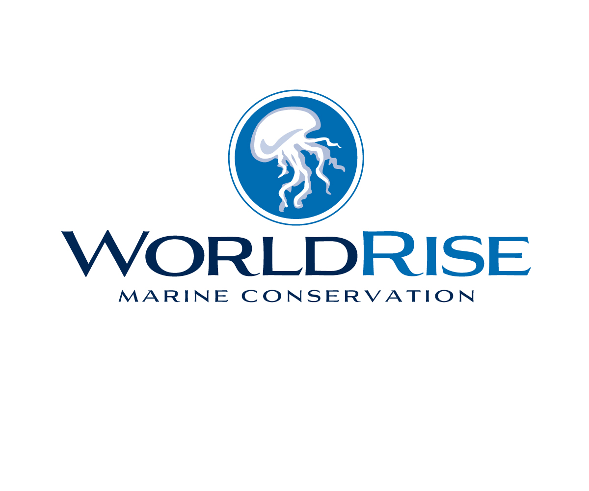 Logo Design by davebowman for this project | Design #17892963