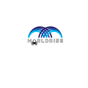 Logo Design by Chero Designs