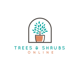 Logo Design by hvdesigns