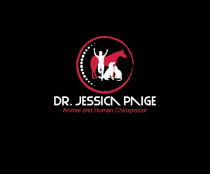 Logo Design by Isnah Logo for this project | Design: #17893836