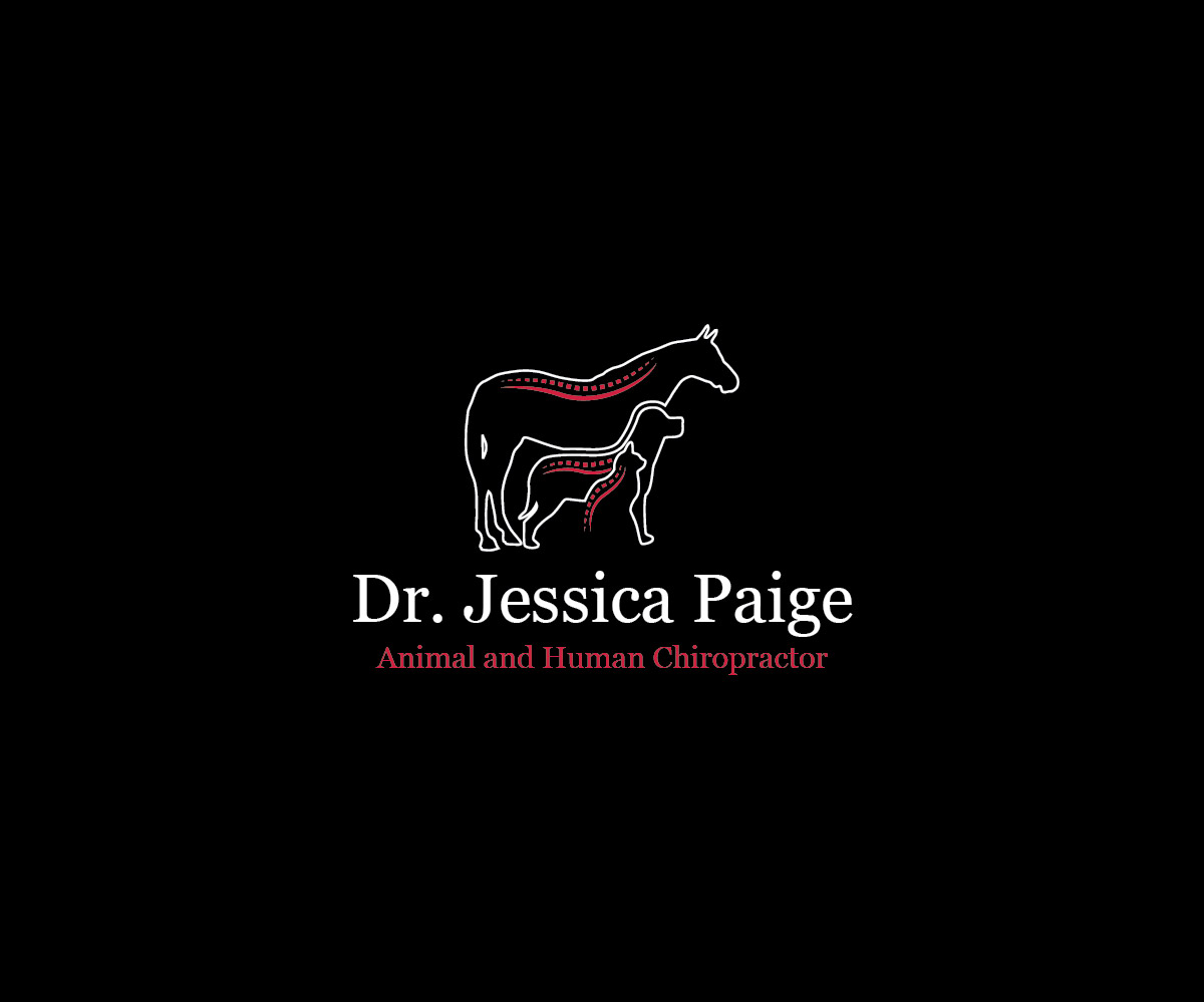 Logo Design by Isnah Logo for this project | Design #17893837