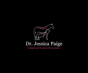 Logo Design by Isnah Logo for this project | Design: #17893837