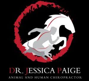 Logo Design by Ryan 76