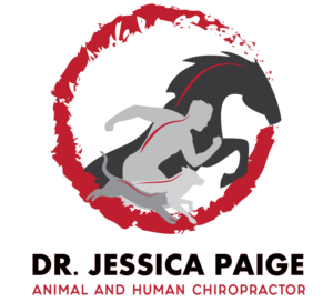 Logo Design by Ryan 76 for this project | Design: #17939085