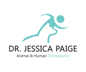 Logo Design by Perplswet Designs