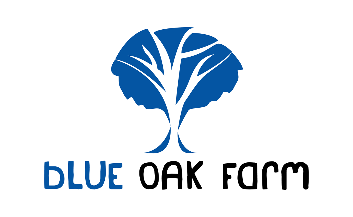 Logo Design by Keebs3 for this project | Design #2766329