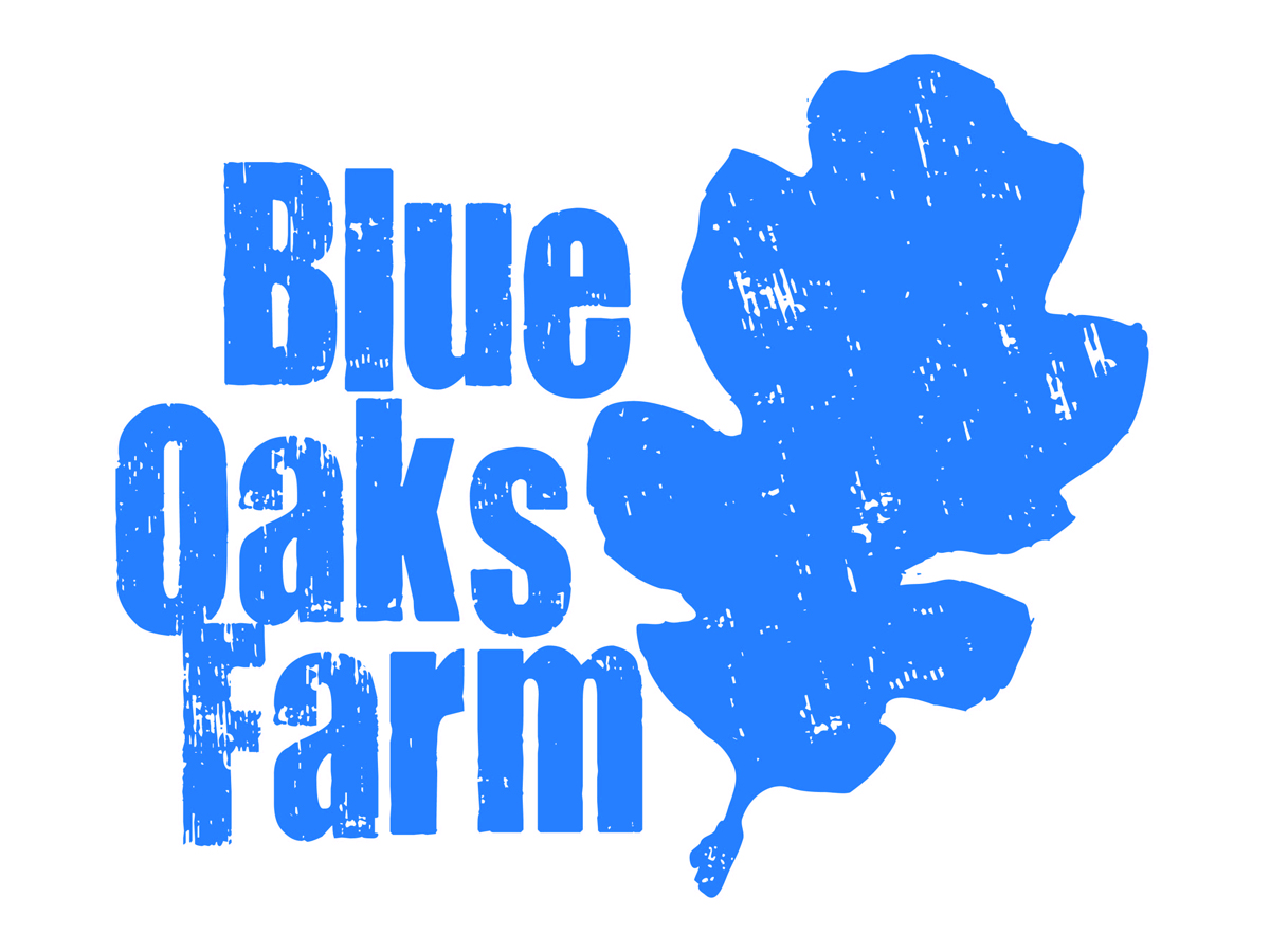 Logo Design by AFG for this project | Design #2765698