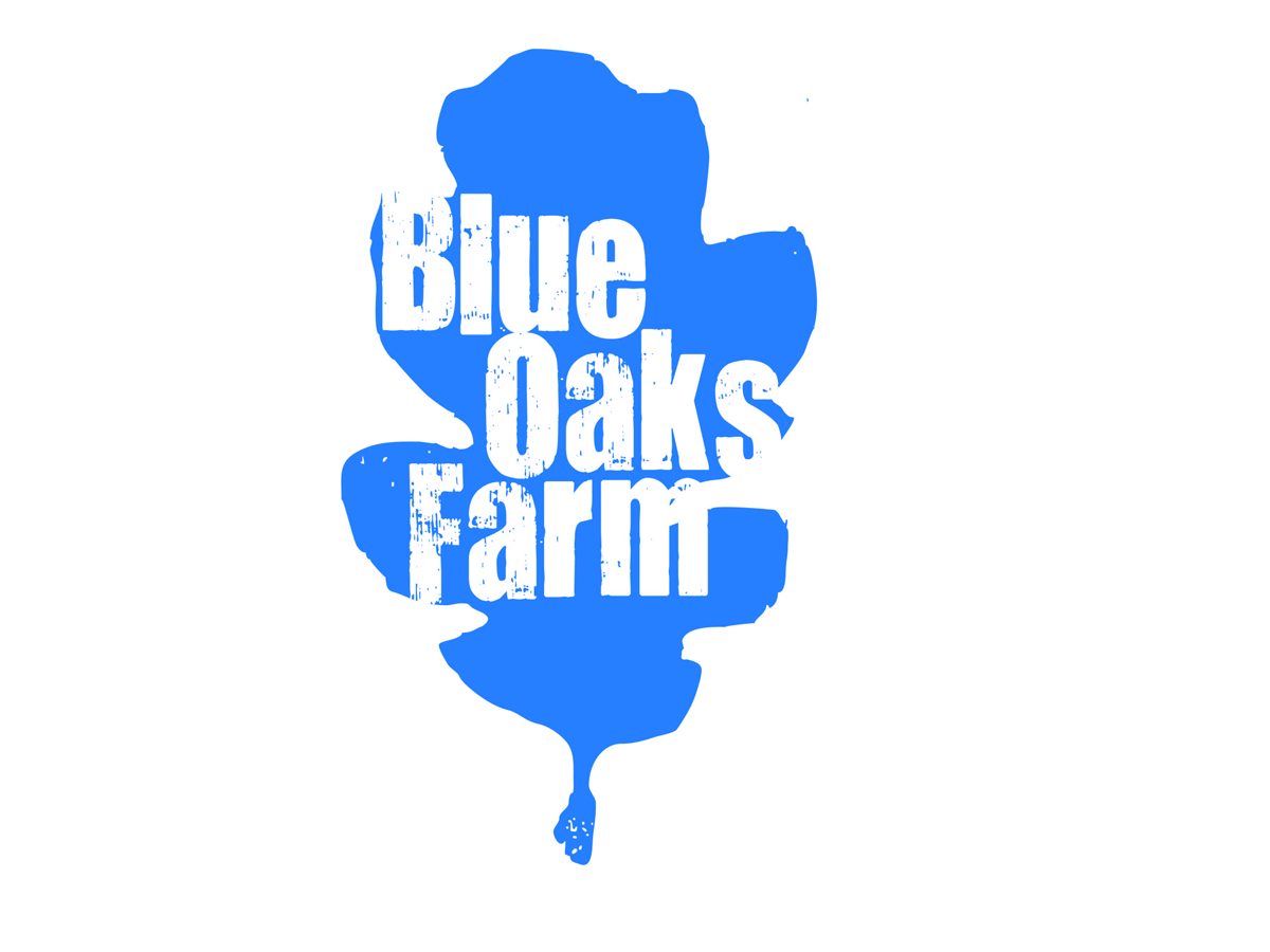 Logo Design by AFG for this project | Design #2765706