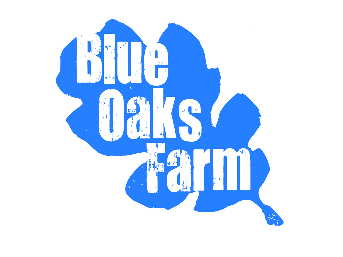 Logo Design by AFG for this project | Design #2765717