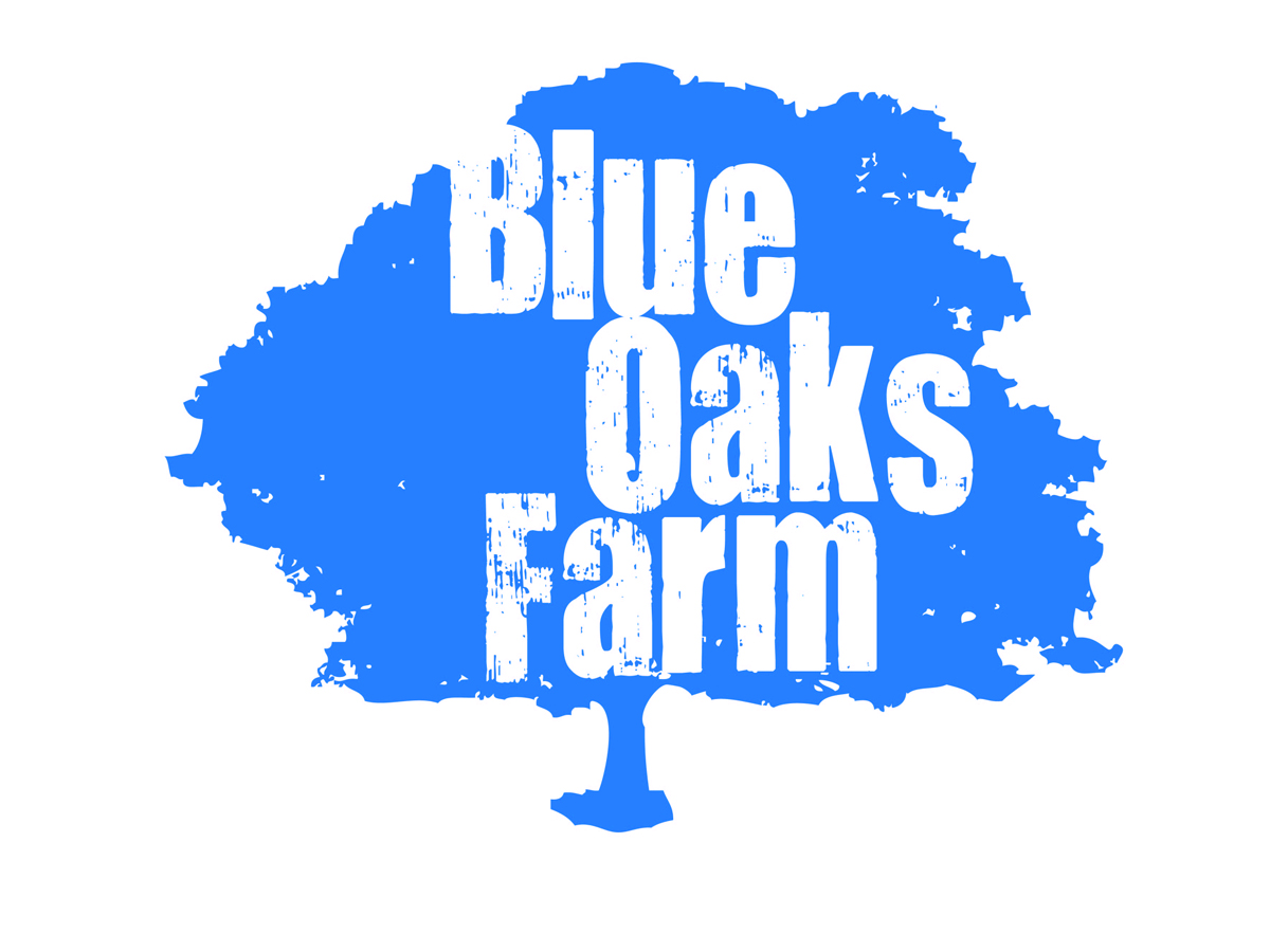 Logo Design by AFG for this project | Design #2765960