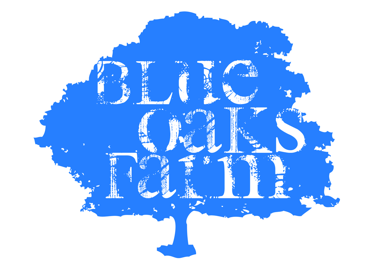 Logo Design by AFG for this project | Design #2765961