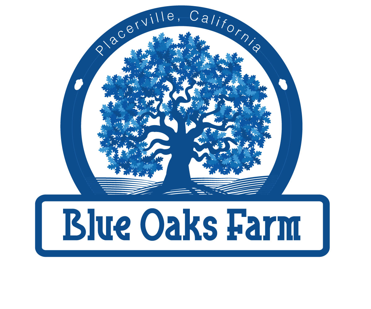 Logo Design by eayeri for this project | Design #2772262