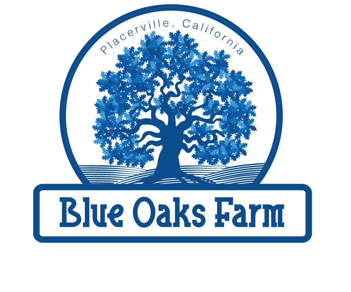 Logo Design by eayeri for this project | Design #2772291