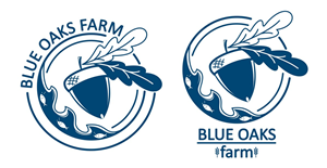 Logo Design by OlgaS