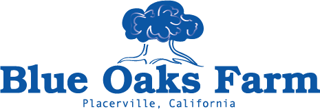 Logo Design by J. Pelham Designs for this project | Design #2765603