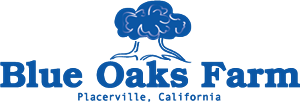 Logo Design by J. Pelham Designs