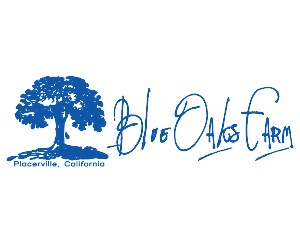 Logo Design by Brandit360