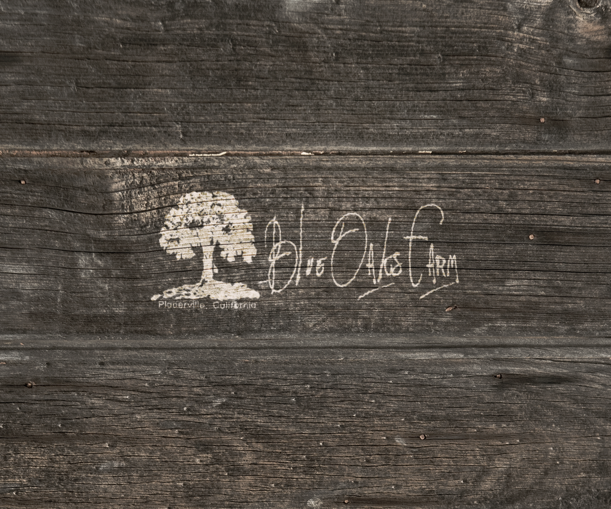 Logo-Design von Brandit360 für dieses Projekt | Design #2764535