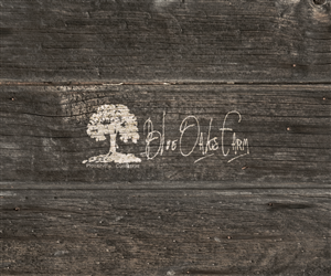 Logo Design by Brandit360 for this project | Design: #2764535