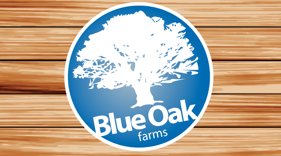 Logo Design by JayKays for this project | Design #2761901