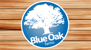 Logo Design by JayKays for this project | Design: #2761901