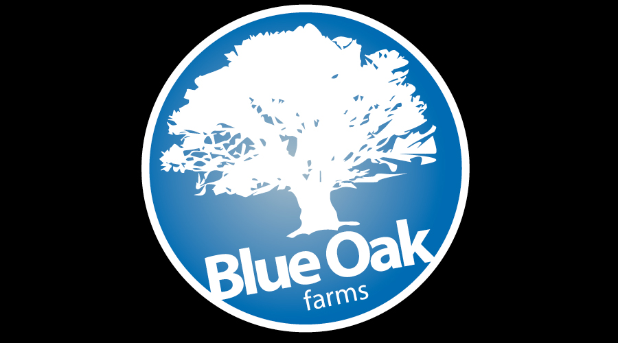 Logo Design by JayKays for this project | Design #2761908