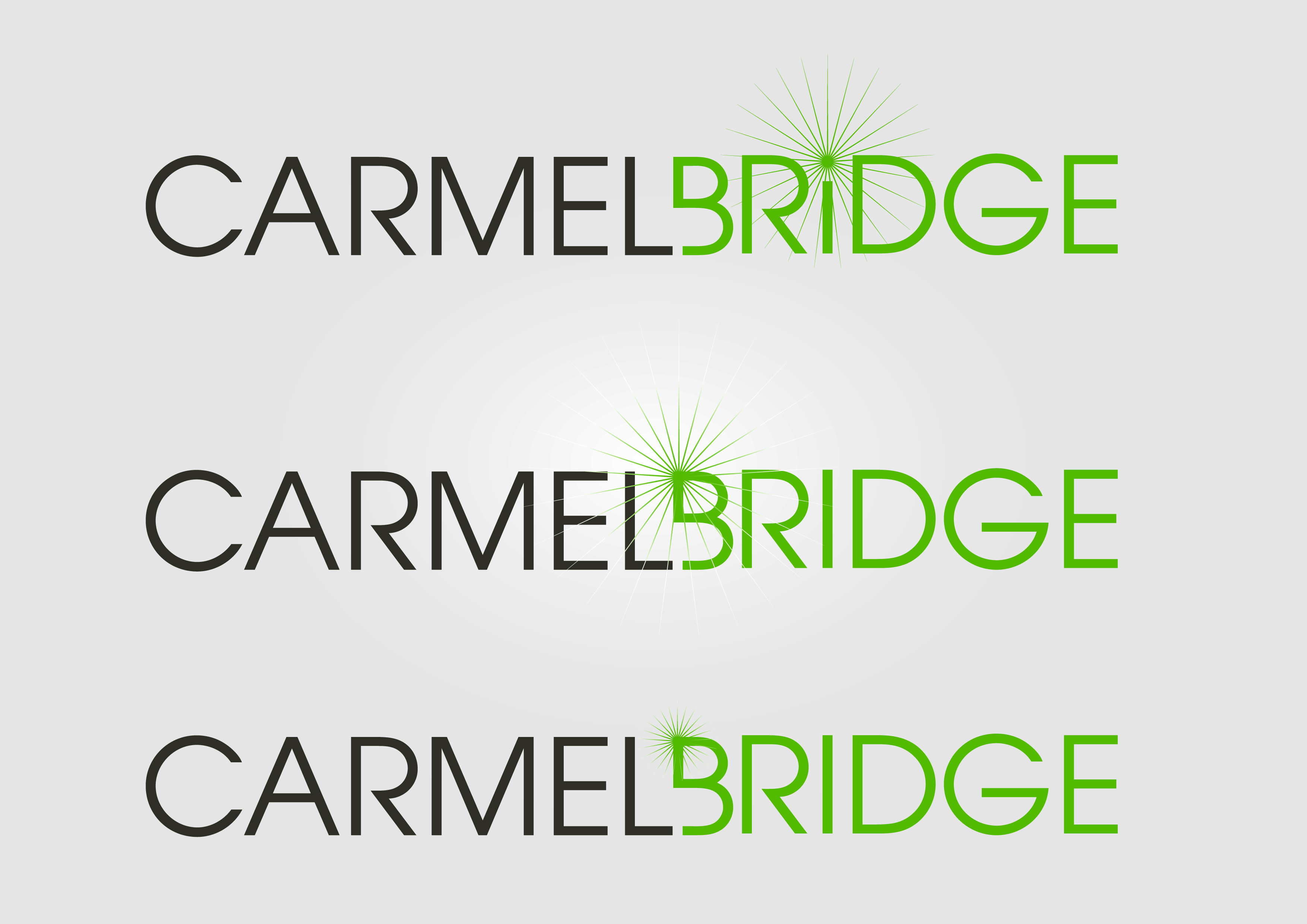 Logo Design by The Measure for Carmel Bridge | Design #48048