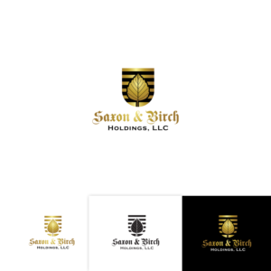 Logo Design by Maxo-Biz