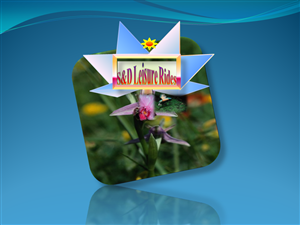 Design de Logo par Iyzy pour S&D Leisure Rides | Design : #2780502