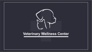 Logo Design by AllanJordann