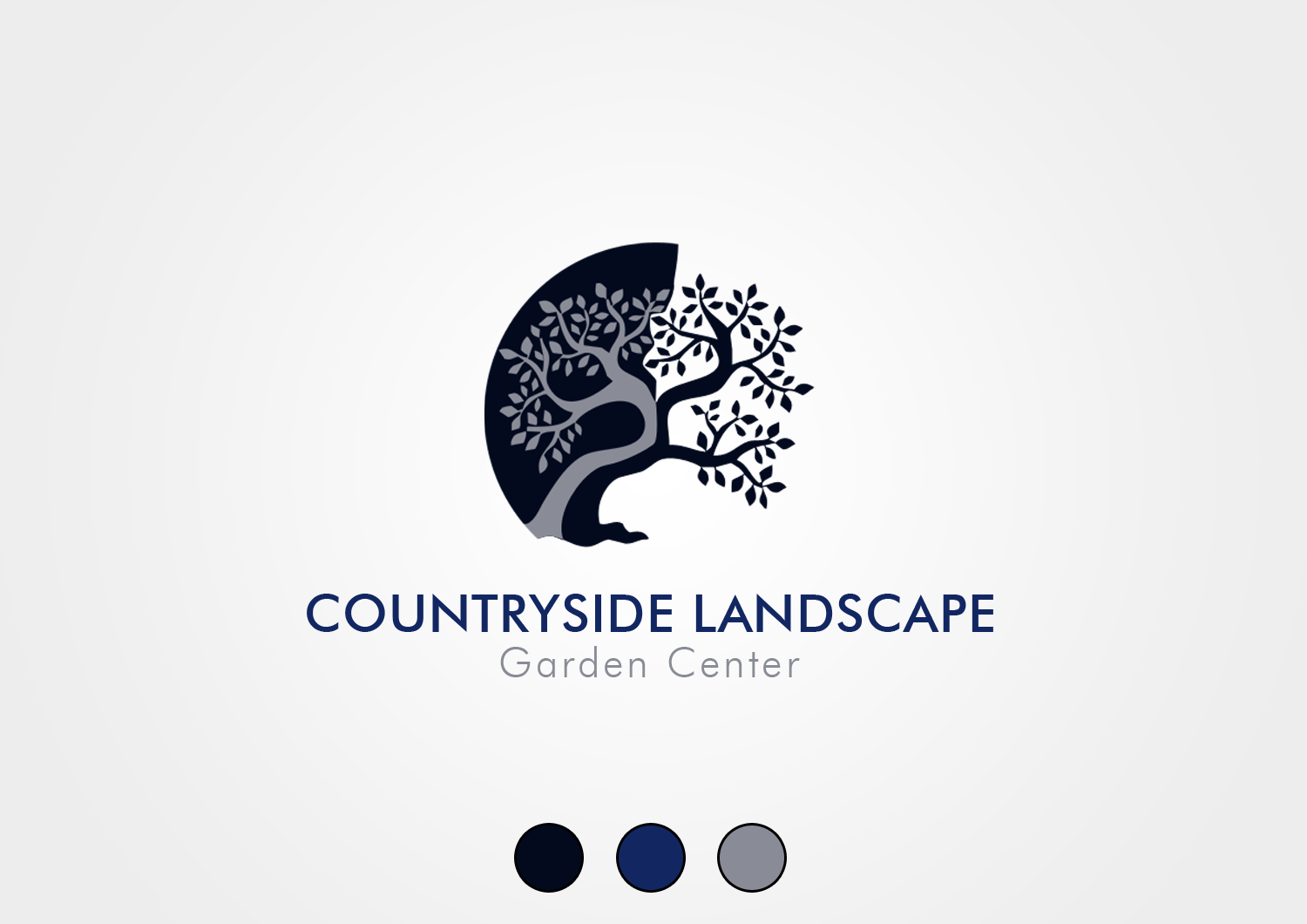 Logo-Design von Xheneta Jetishi für Countryside Austin | Design #17965415