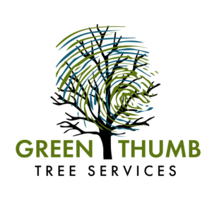 Logo Design by Eva Smith
