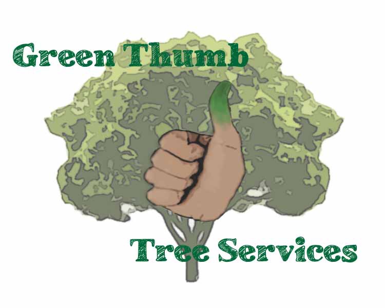 Logo Design by Eva Smith for this project | Design #17949295