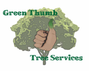 Diseño de Logo por Eva Smith para este proyecto | Diseño: #17949295