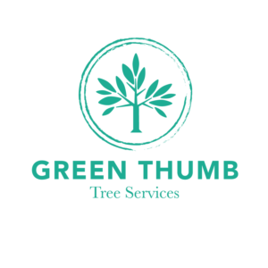 Diseño de Logo por Kimh para este proyecto | Diseño #17946356