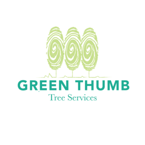 Logo Design by Kimh for this project | Design: #17966522